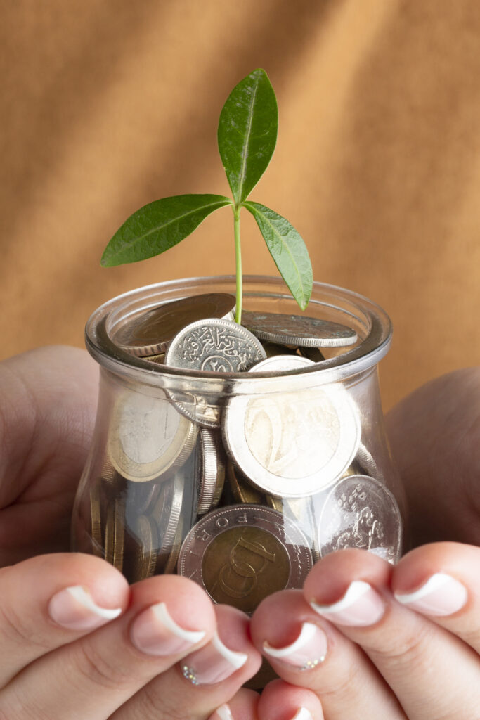 Investindo com Pouco Dinheiro: É Possível? Grandes Investimentos ao Longo do Tempo